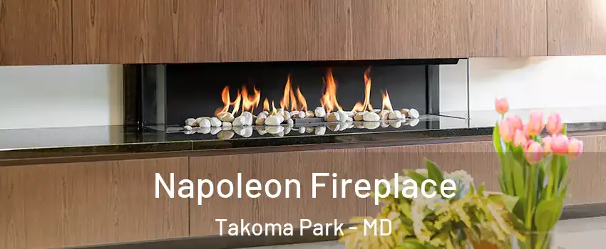 Napoleon Fireplace Takoma Park - MD