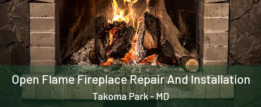  Open Flame Fireplace Repair And Installation Takoma Park - MD
