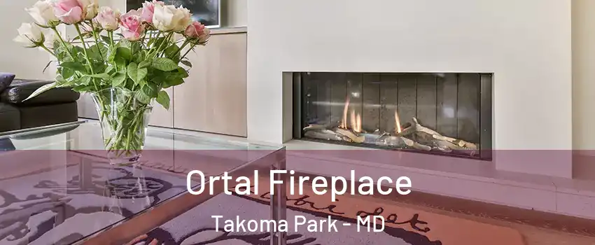  Ortal Fireplace Takoma Park - MD