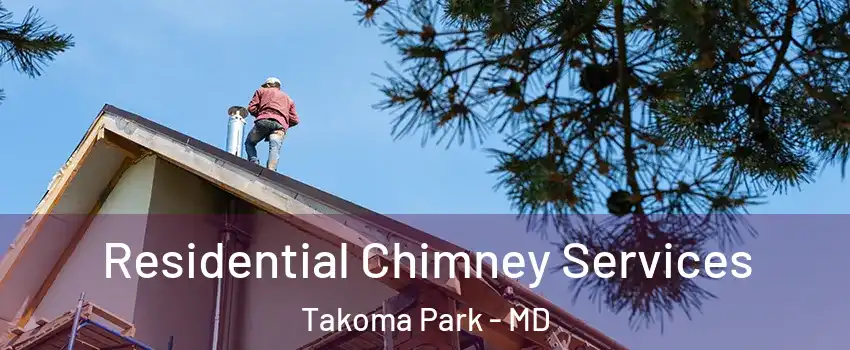  Residential Chimney Services Takoma Park - MD