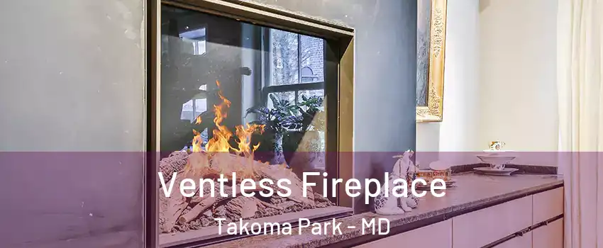 Ventless Fireplace Takoma Park - MD
